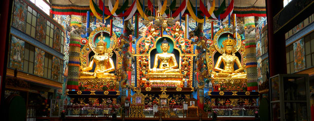 Honeymoon in Coorg from Bangalore Tour