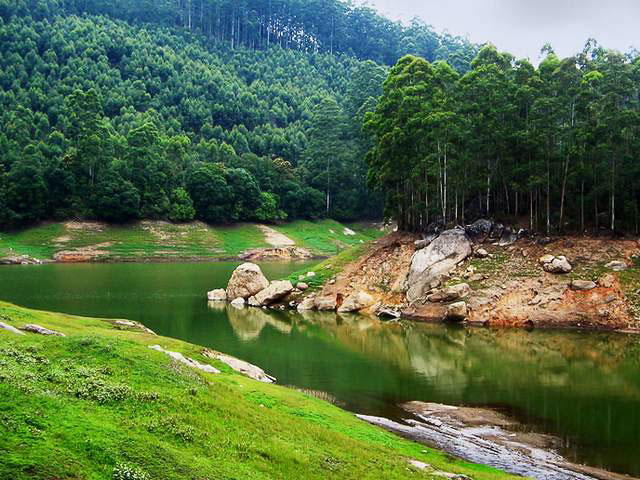 Athirapally - Munnar - Alleppey Houseboat from Cochin Tour