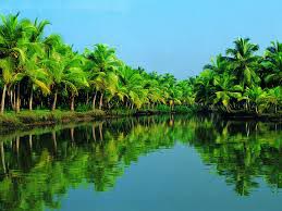 Kerala Honeymoon Tour