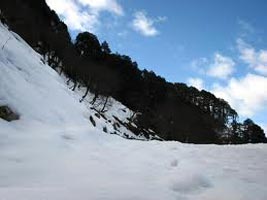Manali Tour