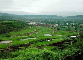 special Package in  OXFORD GOLF (PUNE)