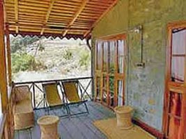 Special Package for Bird watching in Pangot (Nainital)