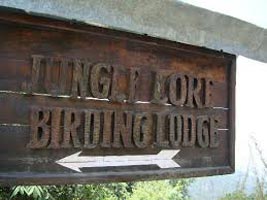 Special Package for Bird watching in Pangot (Nainital)