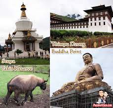 Bhutan Special Package