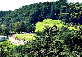 Shimla Chail - Delight for Nature Lover