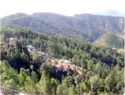 Shimla Chail - Delight for Nature Lover