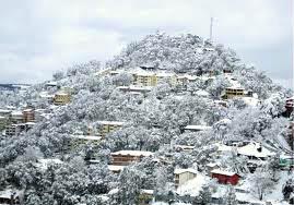 Shimla Chail - Delight for Nature Lover