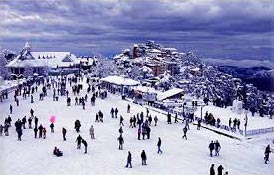 Shimla Family Tour Package