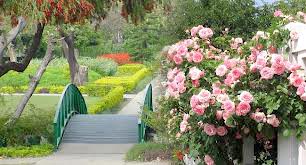 Himachal Hues Honeymoon Package (Winter Special)