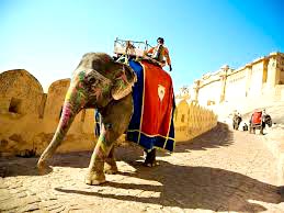 Rajasthan Cultural Tour