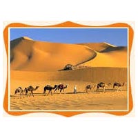  Rajasthan Cultural Tour