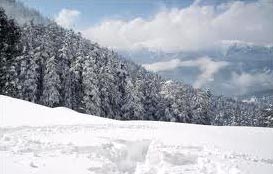 Delhi - Agra - Shimla - Manali - Chandigarh Tour