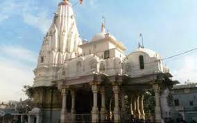 Devi Darshan Tour