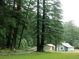 Dalhousie Magic Tour