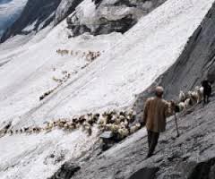 Dalhousie Magic Tour