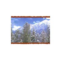 Best Of Shimla & Manali Package By A/C Car