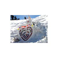 Best Of Shimla & Manali Package By A/C Car