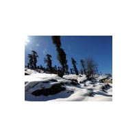 Best Of Shimla & Manali Package By A/C Car