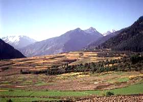 Kullu - Manali - Manikaran - Rohtangpass & Shimla Tour