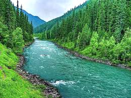 Kashmir Honeymoon Special Tour 