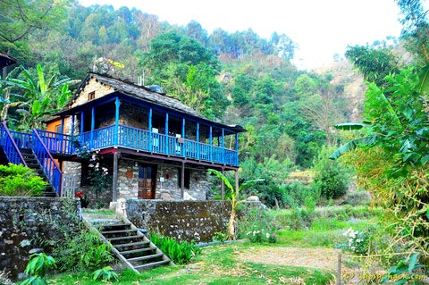 Chopta Village - Chandrashila Trek, Uttarakhand Tour - 4N/5D