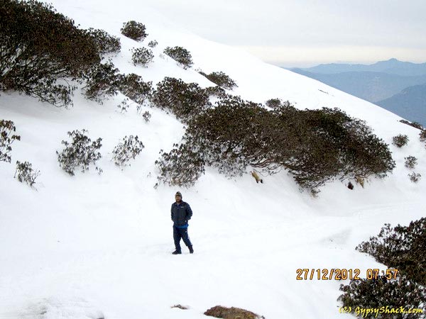 Chopta Village - Chandrashila Trek, Uttarakhand Tour - 4N/5D