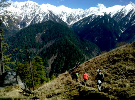 Chopta Village - Chandrashila Trek, Uttarakhand Tour - 4N/5D