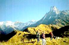 Trekking in Ladakh Tour