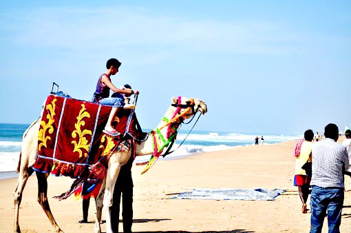 Orissa Tribal Tour(12N13D)