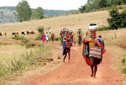 Orissa Tribal Tour(12N13D)