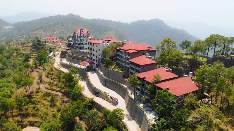 Fortune Selet Forest Hill