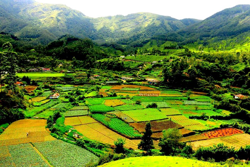 Splendours Of South India Tour