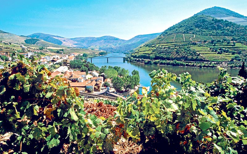 Portugal In Depth (ZP) Tour