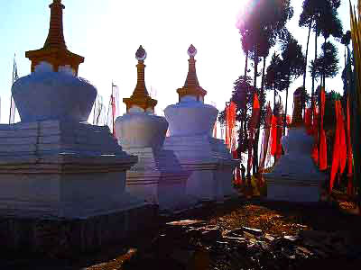 Gangtok - Pelling - Darjeeling Tour