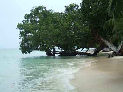 Magical Andaman With Neil Tour Package