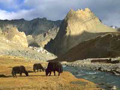 Magical Moonland Escape - Tour Package, Ladakh (leh)