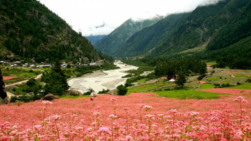 Kinnaur & Spiti Valley Tour