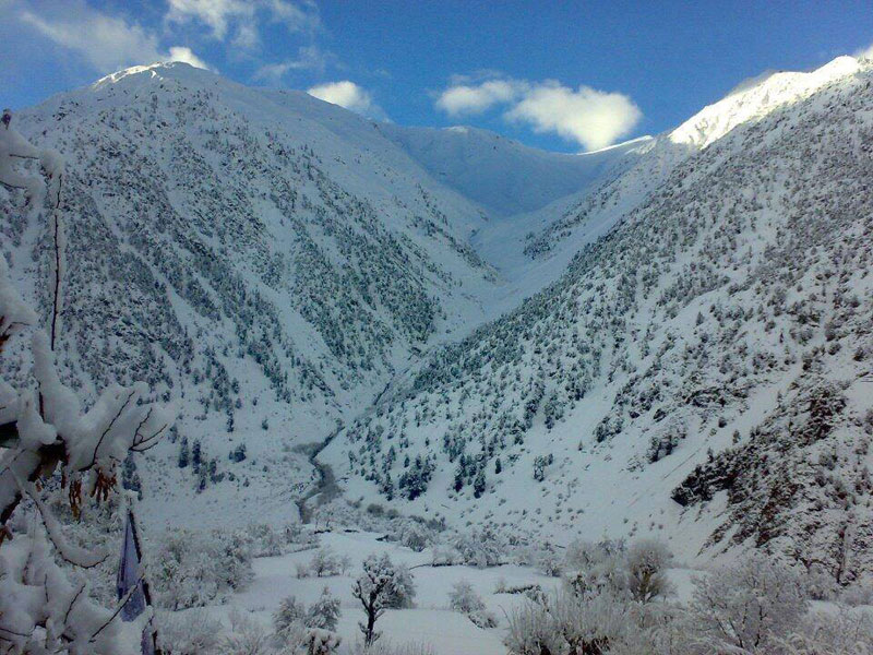 Manali Honeymoon packages