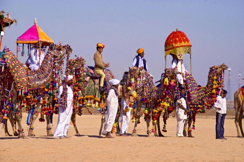Desert Festival - Jaisalmer Tour