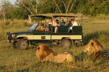 Summer Kenya Safari Tour