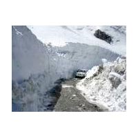 Manali Honeymoon Package