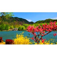 Kashmir Paradise Tour