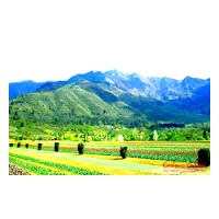 Kashmir Paradise Tour