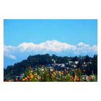 Beautiful Darjeeling Tour