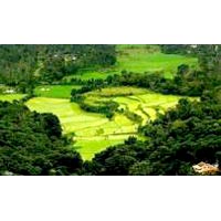 Bangalore - Mysore - Coorg - Ooty Tour Package