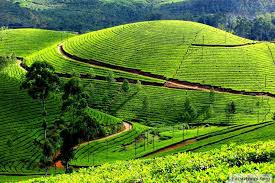 Bangalore - Mysore - Coorg - Ooty Tour Package