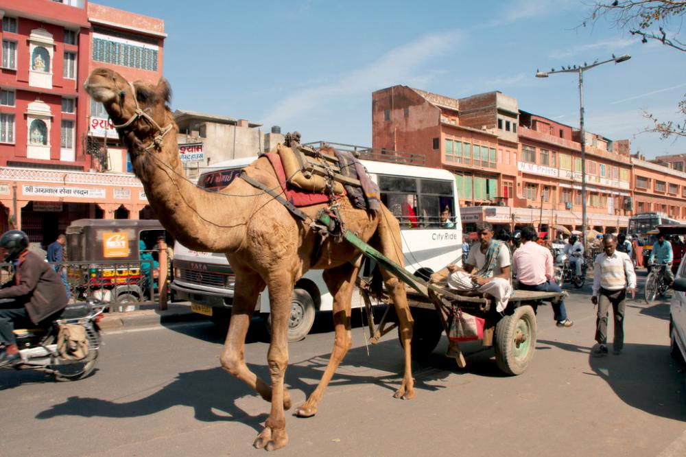 Student Group Package