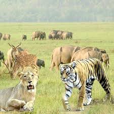 Nainital With Jim Corbett Tour