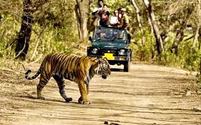 Nainital With Jim Corbett Tour