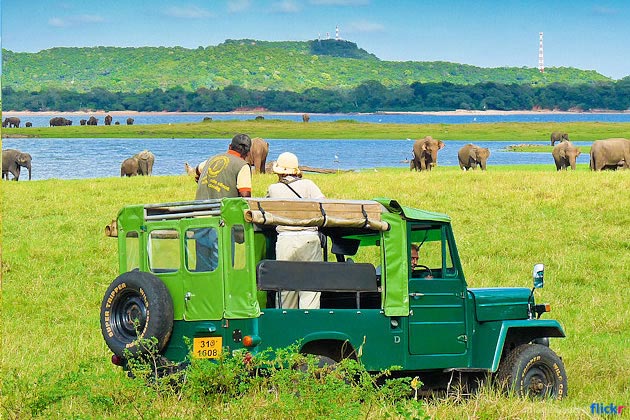 Stunning Sri Lanka Tour